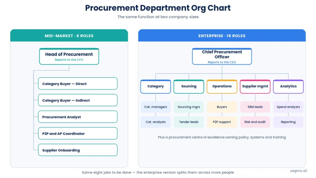 Procurement department org chart for mid-market and enterprise organisations