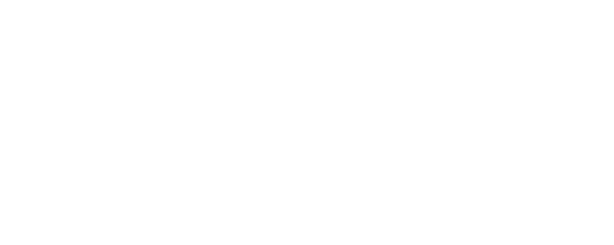 APCO logo